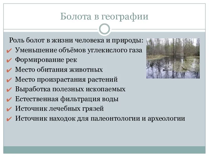 Болота в географии Роль болот в жизни человека и природы: Уменьшение