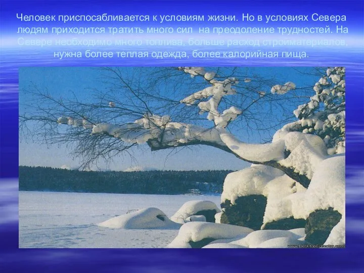 Человек приспосабливается к условиям жизни. Но в условиях Севера людям приходится