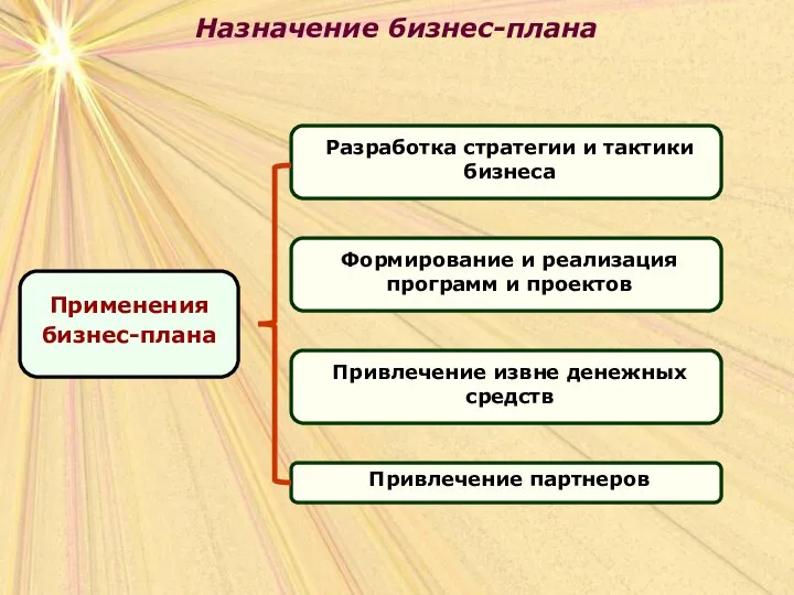 Назначение бизнес-плана Назначение бизнес-плана