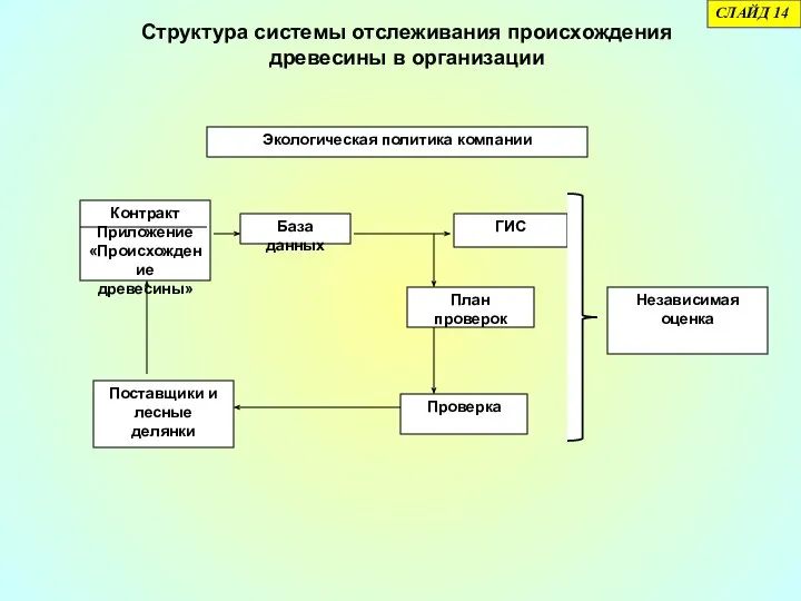 Независимая оценка Структура системы отслеживания происхождения древесины в организации СЛАЙД 14