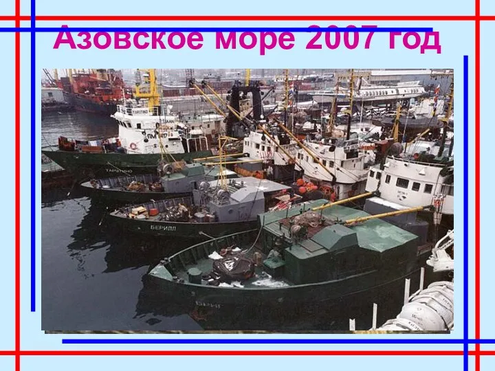 Азовское море 2007 год