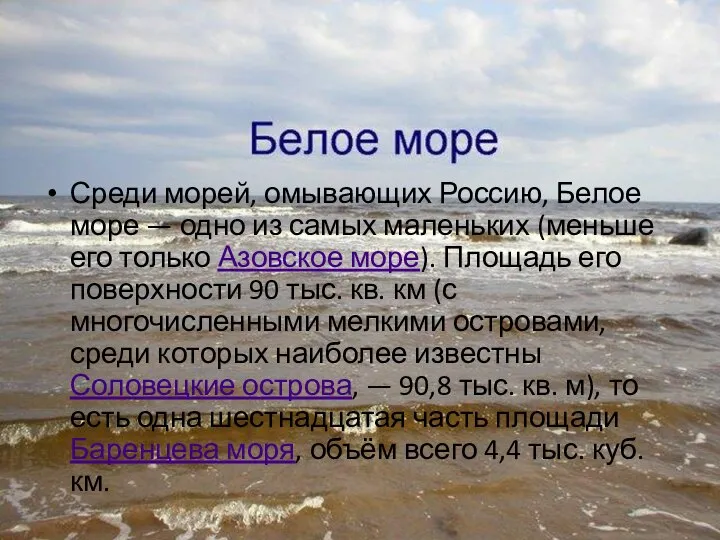 Среди морей, омывающих Россию, Белое море — одно из самых маленьких