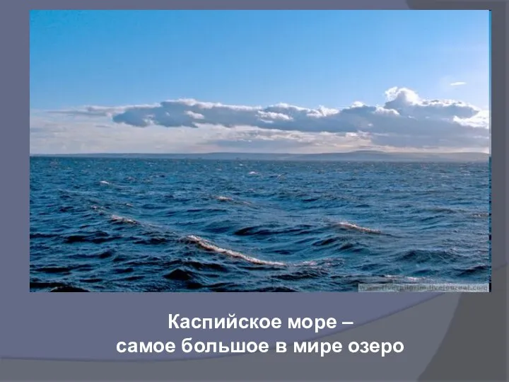 Каспийское море – самое большое в мире озеро