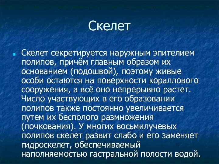 Скелет Скелет секретируется наружным эпителием полипов, причём главным образом их основанием