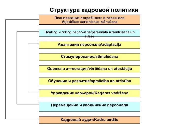 Структура кадровой политики