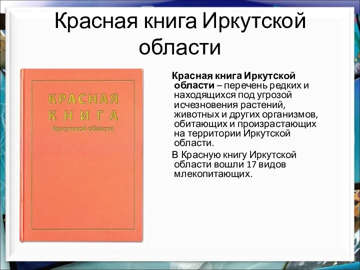 Красная книга Иркутской области Красная книга Иркутской области – перечень редких