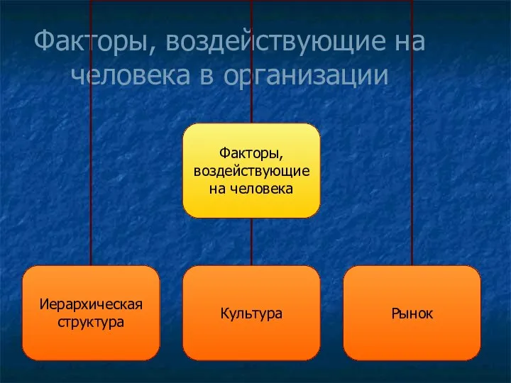 Факторы, воздействующие на человека в организации