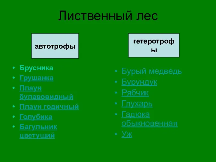 Лиственный лес Брусника Грушанка Плаун булавовидный Плаун годичный Голубика Багульник цветущий