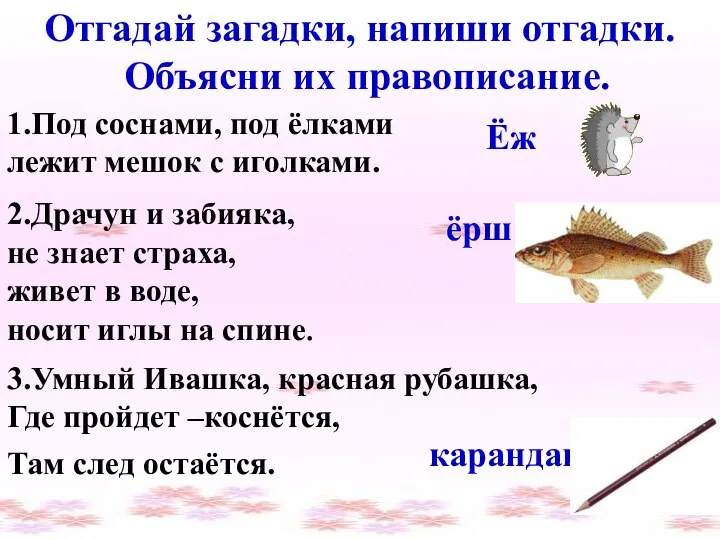 Отгадай загадки, напиши отгадки. Объясни их правописание. 1.Под соснами, под ёлками