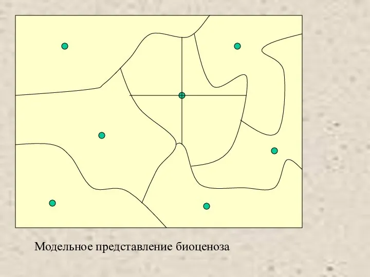 Модельное представление биоценоза