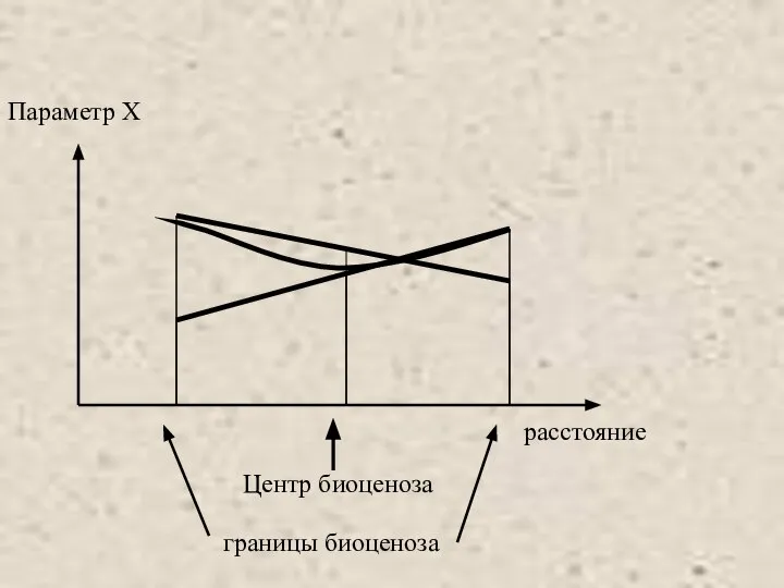 Параметр Х расстояние Центр биоценоза границы биоценоза