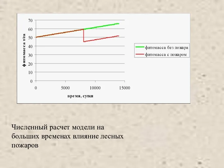 Численный расчет модели на больших временах влияние лесных пожаров