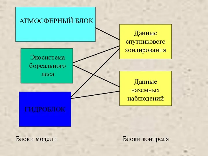 Блоки модели Блоки контроля АТМОСФЕРНЫЙ БЛОК ГИДРОБЛОК Экосистема бореального леса Данные спутникового зондирования Данные наземных наблюдений