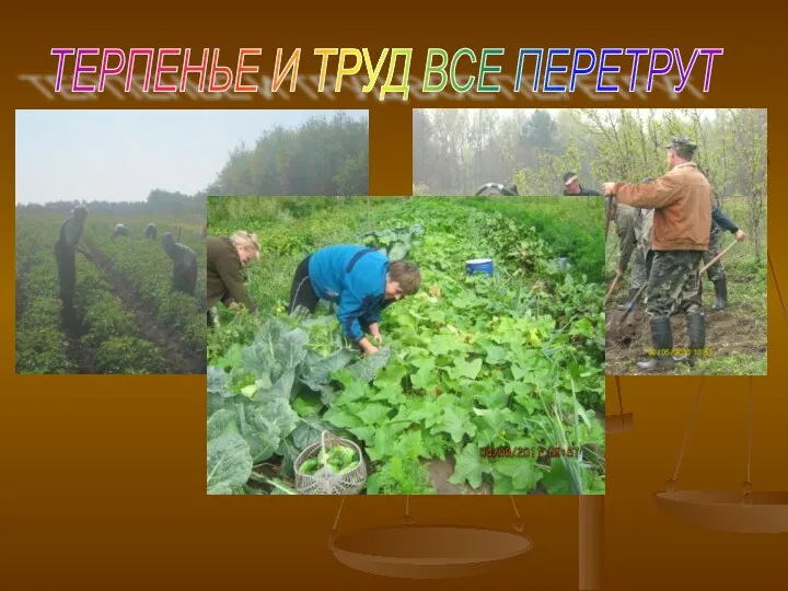 ТЕРПЕНЬЕ И ТРУД ВСЕ ПЕРЕТРУТ