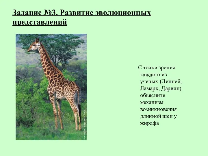 Задание №3. Развитие эволюционных представлений С точки зрения каждого из ученых