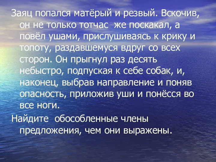 Заяц попался матёрый и резвый. Вскочив, он не только тотчас же