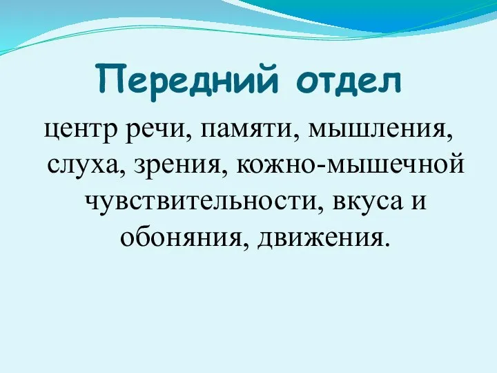 Передний отдел центр речи, памяти, мышления, слуха, зрения, кожно-мышечной чувствительности, вкуса и обоняния, движения.