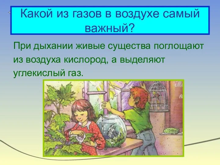 Какой из газов в воздухе самый важный? При дыхании живые существа