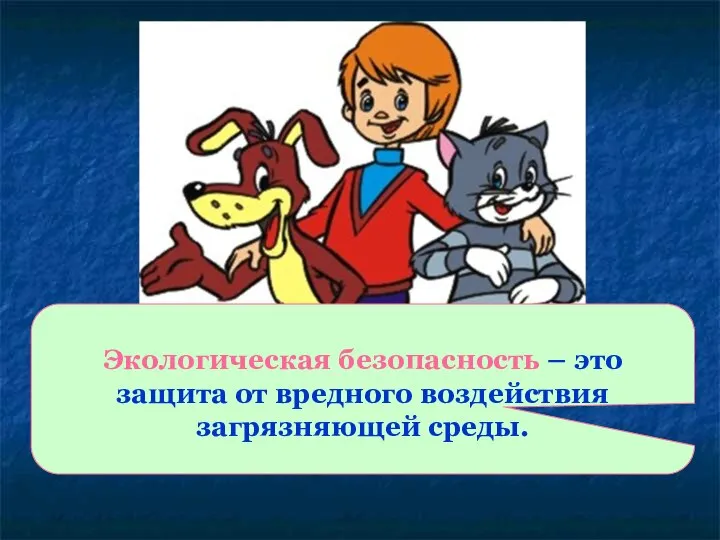 Экологическая безопасность – это защита от вредного воздействия загрязняющей среды.