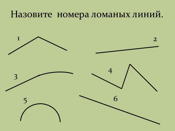 1 2 3 4 5 6 Назовите номера ломаных линий..