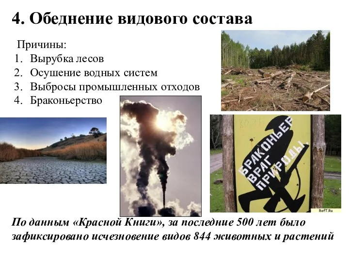 4. Обеднение видового состава Причины: Вырубка лесов Осушение водных систем Выбросы