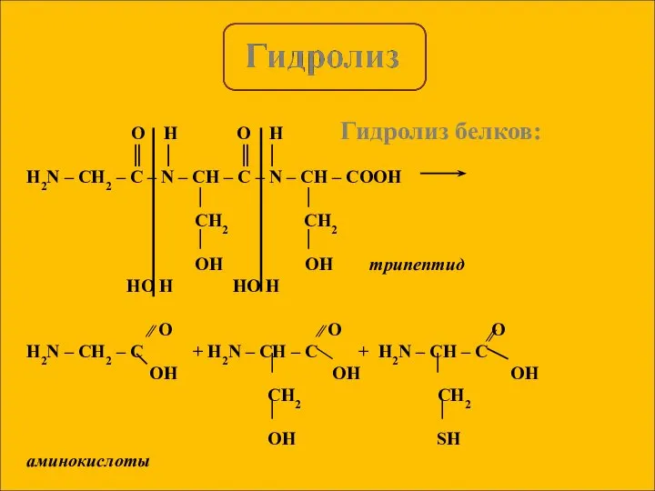 Гидролиз белков: O H O H ║ │ ║ │ H2N