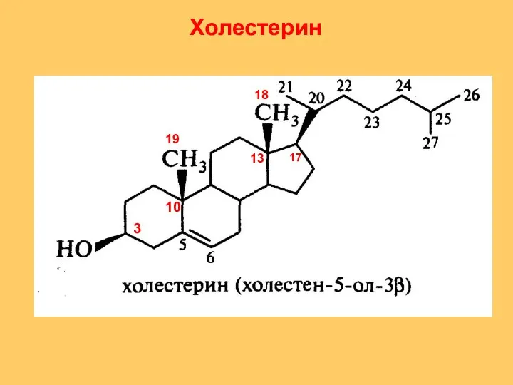 3 10 13 19 18 17 Холестерин