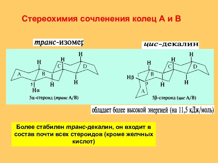 Стереохимия сочленения колец А и В Более стабилен транс-декалин, он входит