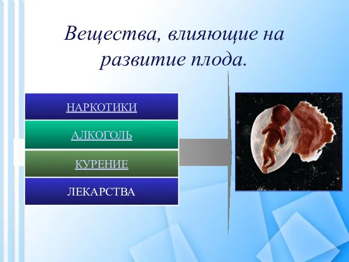 Вещества, влияющие на развитие плода. КУРЕНИЕ НАРКОТИКИ АЛКОГОЛЬ ЛЕКАРСТВА