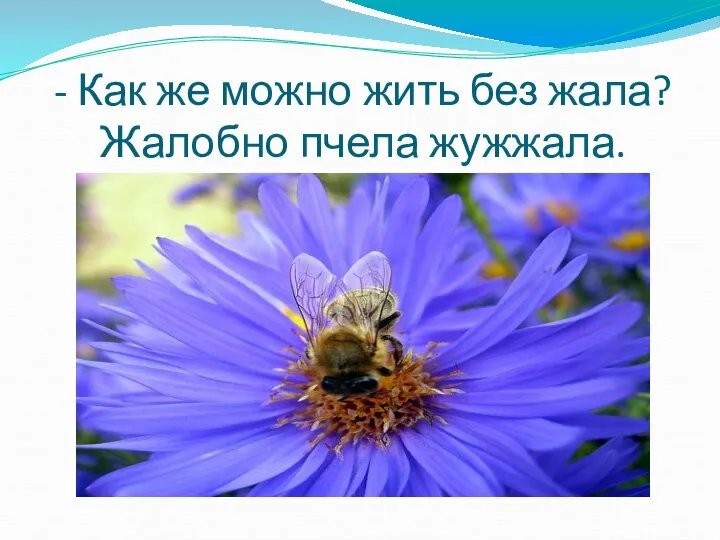 - Как же можно жить без жала? Жалобно пчела жужжала.