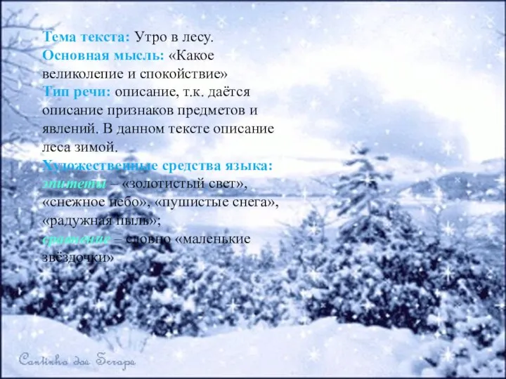 Тема текста: Утро в лесу. Основная мысль: «Какое великолепие и спокойствие»