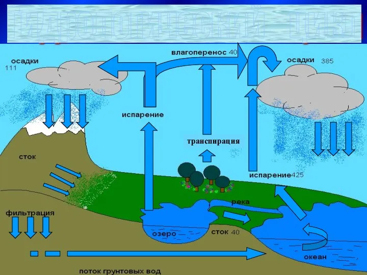 Гидрологический цикл