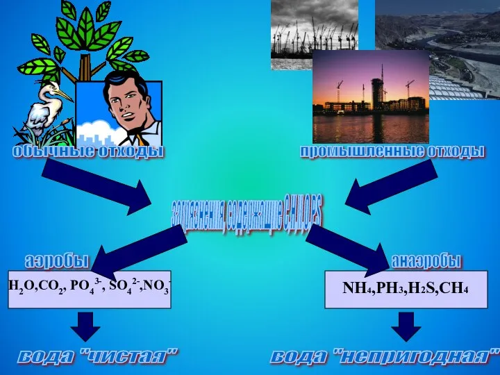 обычные отходы промышленные отходы загрязнения, содержащие C,H,N,O,P,S аэробы анаэробы H2O,CO2, PO43-,