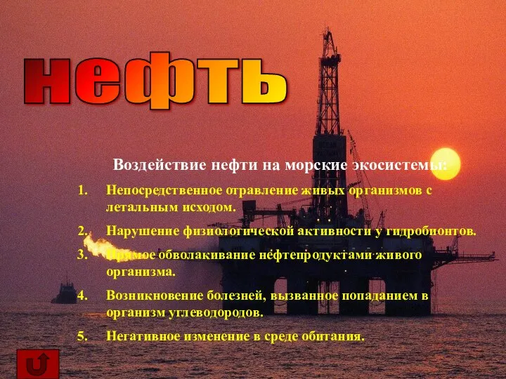 нефть Воздействие нефти на морские экосистемы: Непосредственное отравление живых организмов с