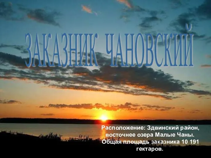 Расположение: Здвинский район, восточнее озера Малые Чаны. Общая площадь заказника 10 191 гектаров. ЗАКАЗНИК ЧАНОВСКИЙ