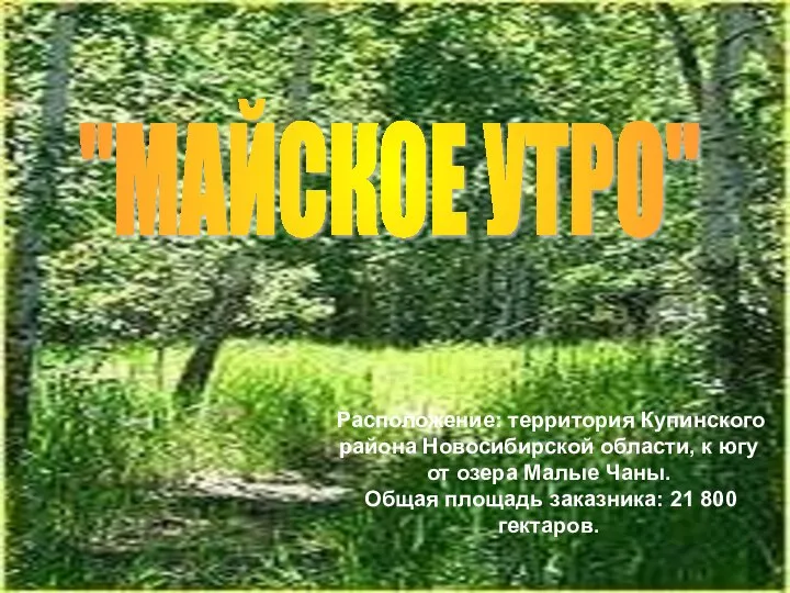 Расположение: территория Купинского района Новосибирской области, к югу от озера Малые