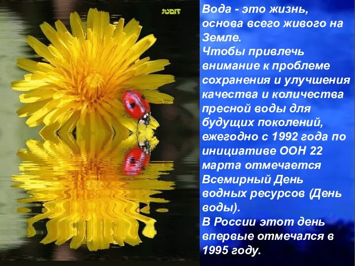 Вода - это жизнь, основа всего живого на Земле. Чтобы привлечь