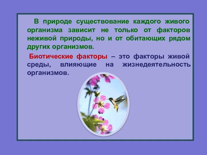 В природе существование каждого живого организма зависит не только от факторов