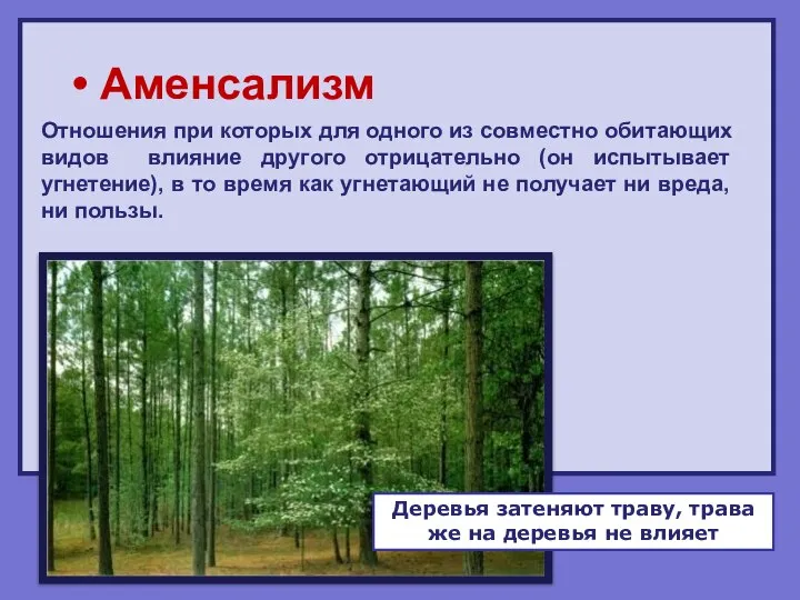 Аменсализм Отношения при которых для одного из совместно обитающих видов влияние