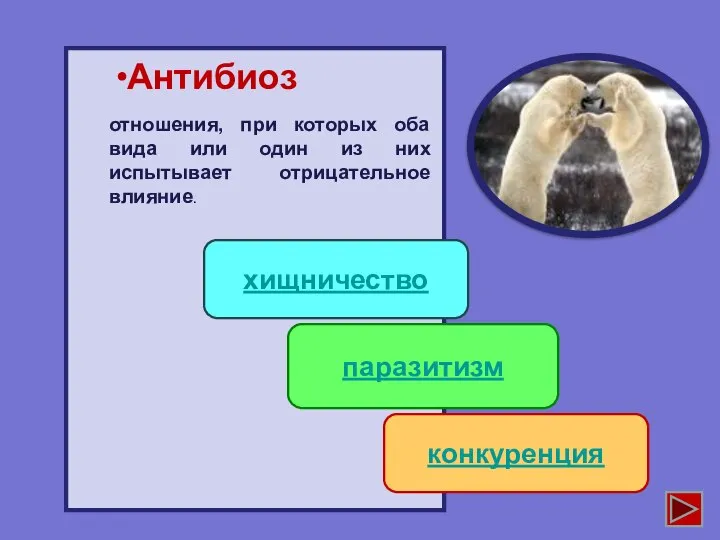 Антибиоз хищничество паразитизм конкуренция отношения, при которых оба вида или один из них испытывает отрицательное влияние.