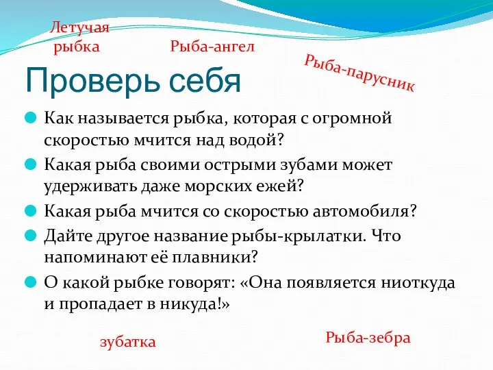 Проверь себя Как называется рыбка, которая с огромной скоростью мчится над