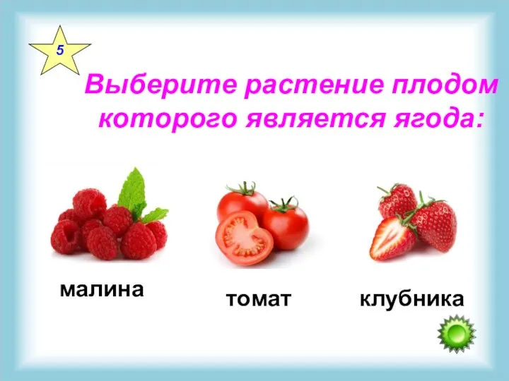 Выберите растение плодом которого является ягода: 5 малина томат клубника