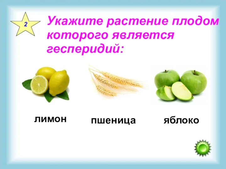 2 Укажите растение плодом которого является гесперидий: лимон пшеница яблоко