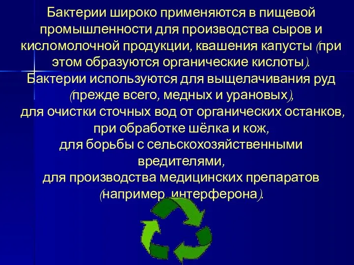 Бактерии широко применяются в пищевой промышленности для производства сыров и кисломолочной