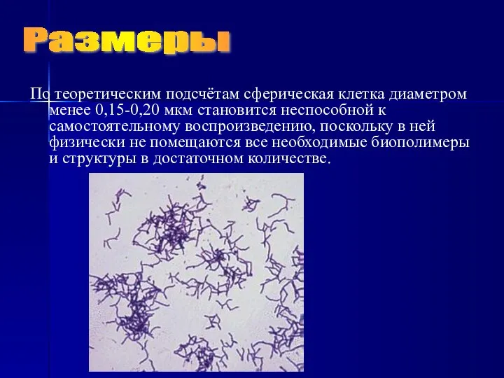 По теоретическим подсчётам сферическая клетка диаметром менее 0,15-0,20 мкм становится неспособной