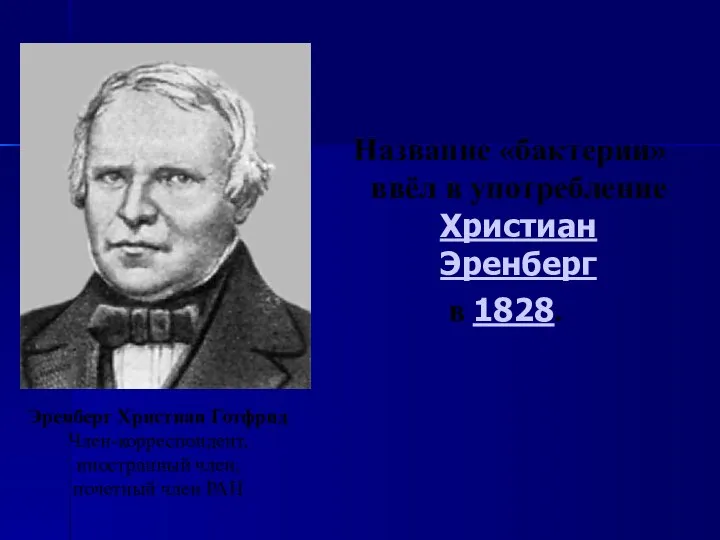 Название «бактерии» ввёл в употребление Христиан Эренберг в 1828. Эренберг Христиан