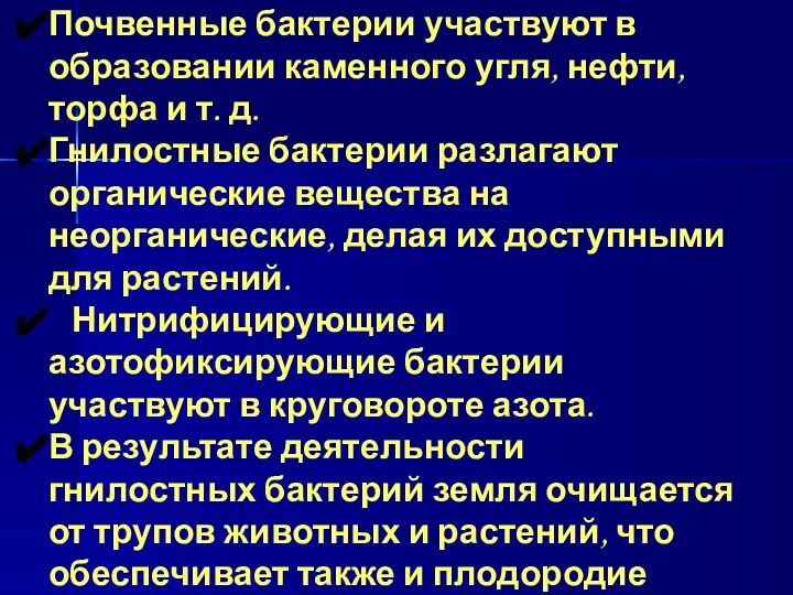 Значение бактерий в природе Почвенные бактерии участвуют в образовании каменного угля,