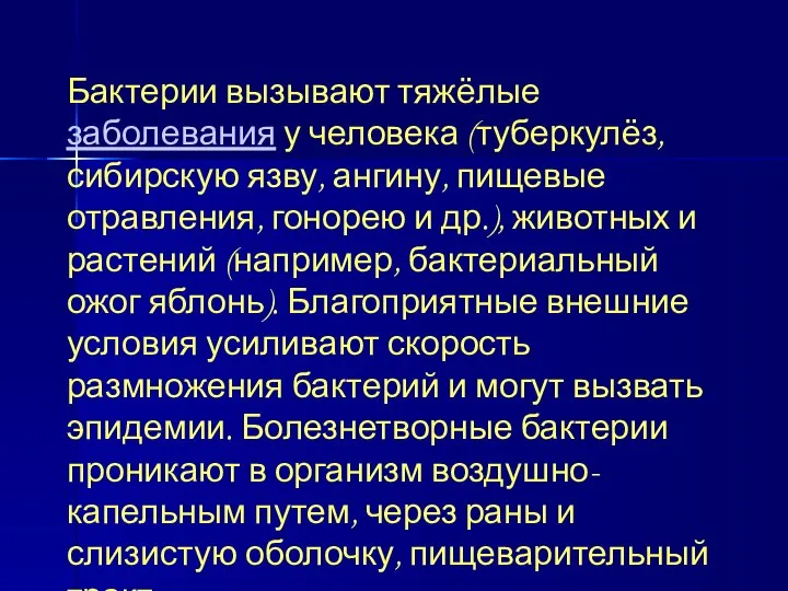 Бактерии вызывают тяжёлые заболевания у человека (туберкулёз, сибирскую язву, ангину, пищевые