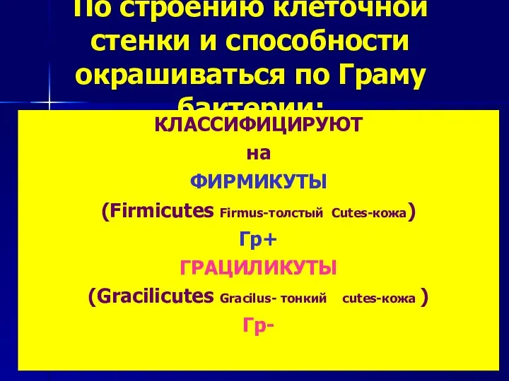 По строению клеточной стенки и способности окрашиваться по Граму бактерии: КЛАССИФИЦИРУЮТ