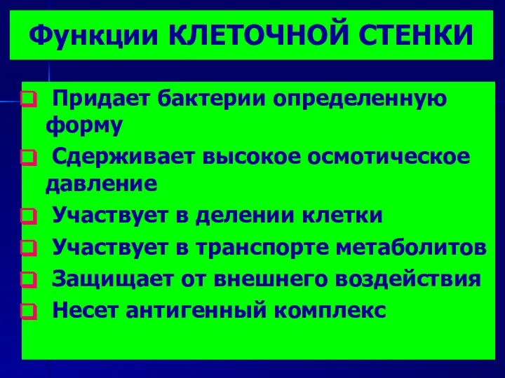 Функции КЛЕТОЧНОЙ СТЕНКИ Придает бактерии определенную форму Сдерживает высокое осмотическое давление